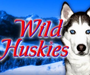 Wild Huskies Slots at spin and win