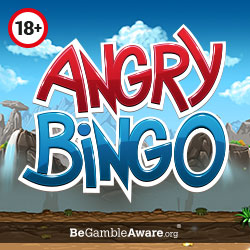 angry bingo review