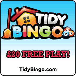 tidy bingo