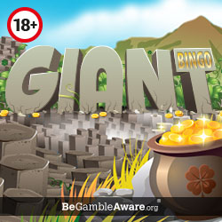 giant bingo review